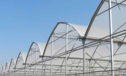 سازه گلخانه-گلخانه صنعتی-گلخانه اسپانیایی-طراحی و ساخت گلخانه